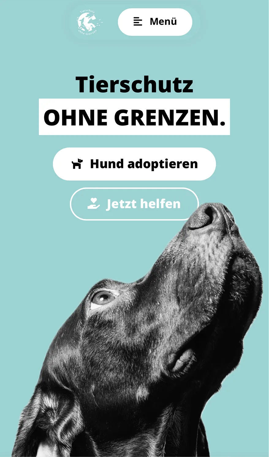 Animal Life Website